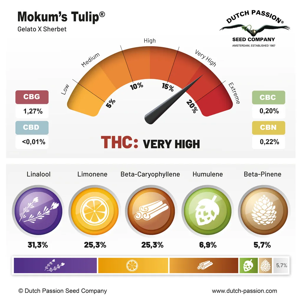 Mokum