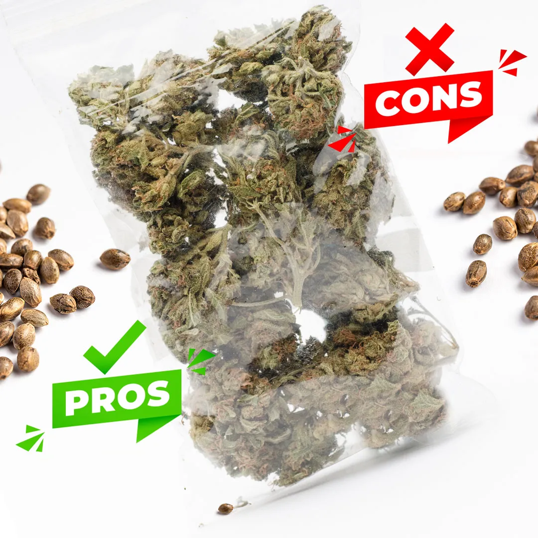 pros-and-cons-seed-bag-seed