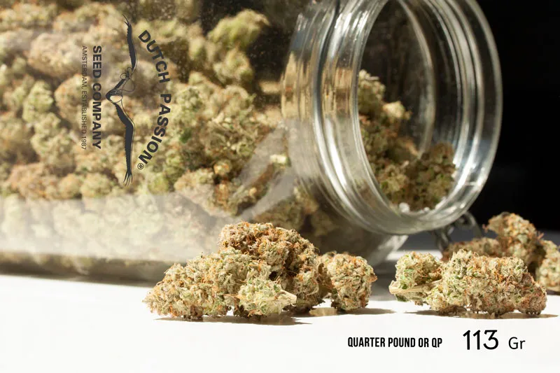 Quarter pound - 113 grams of weed