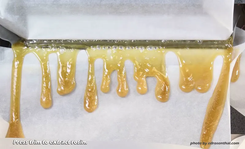 Rosin extraction
