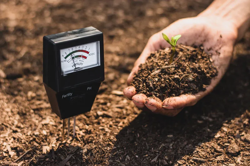 Soil pH
