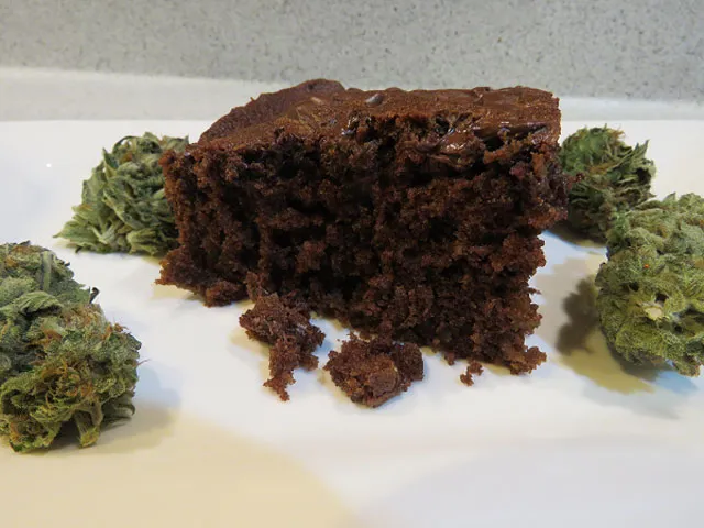dutch-passion-seed-company-recipe-space-cake-buds-cannabis-weed