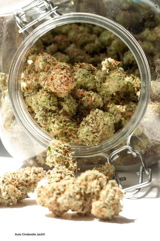 Store your weed in a jar