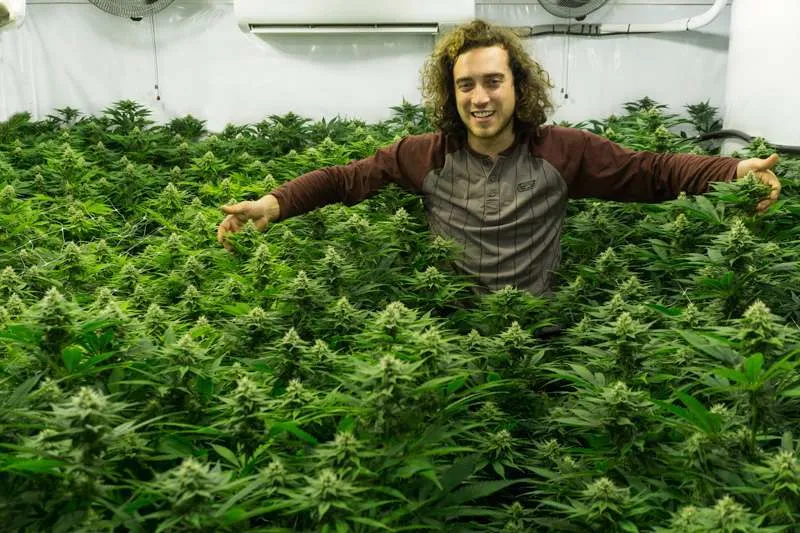Kees from Super Sativa Seed Club