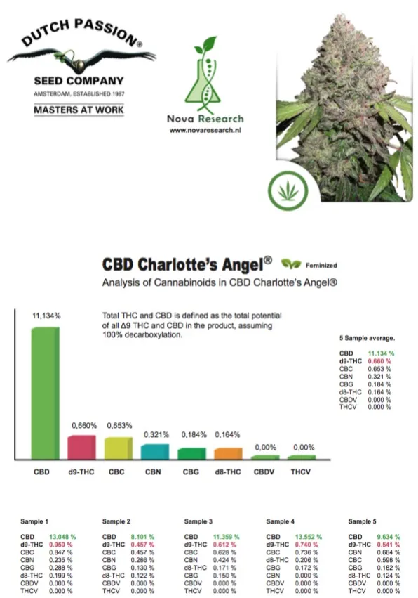 analyses de la CBD Charlotte