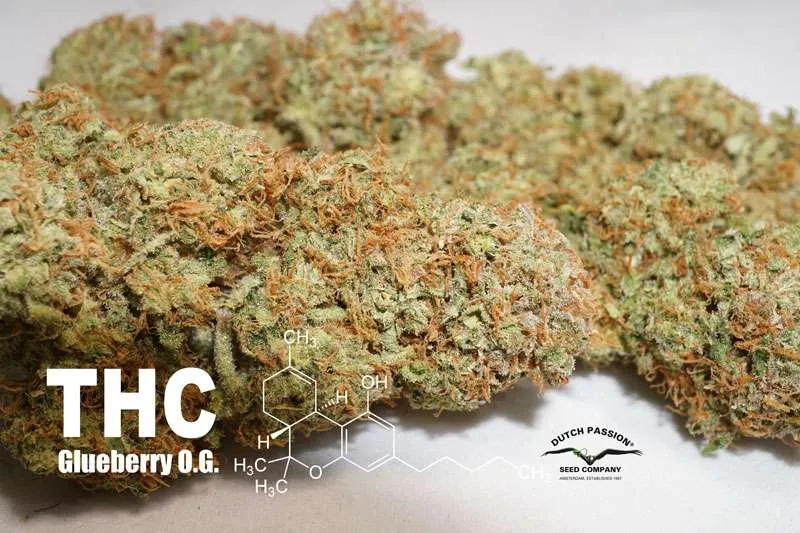 THC