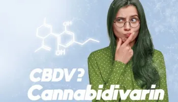 CBDV: Wat doet deze niet-psychoactieve cannabinoïde?