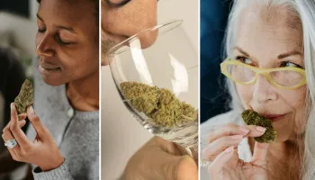 Wie riecht Cannabis wirklich?