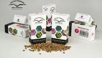 Descubre el nuevo envase de tus semillas de cannabis