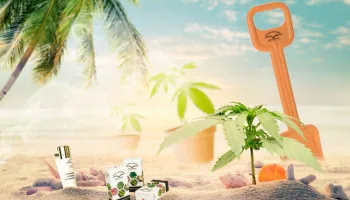 Top 5 des variétés de cannabis à cultiver en bord de mer
