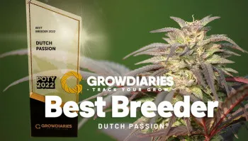 Dutch Passion reçoit le prix GrowDiaries du meilleur breeder en 2022