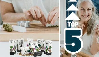 De vijf beste cannabissoorten met een mentale high
