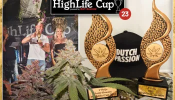 HighLife Cup 2023: l’Auto SFV OG et la CBD Auto Blackberry Kush couronnées !