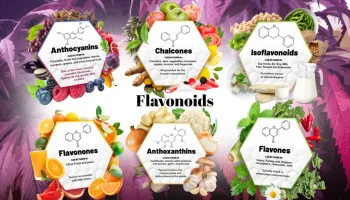 ¿Qué son los flavonoides del cannabis y qué hacen?