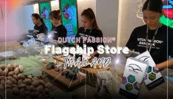 Dutch Passion abre su tienda insignia en Tailandia