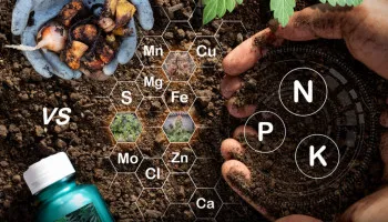 Nutriments organiques vs minéraux pour le cannabis
