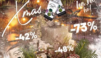 Meilleures offres de graines de cannabis pour Noël 2023