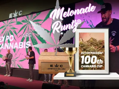 Melonade Runtz élue meilleure variété de l'année en Argentine