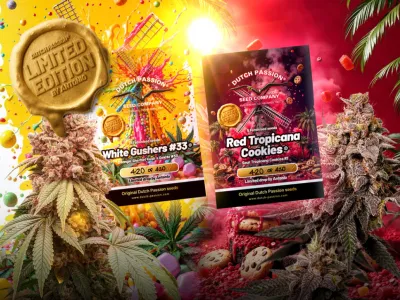 Nouvelles graines en édition limitée : Red Tropicana Cookies, White Gushers #33