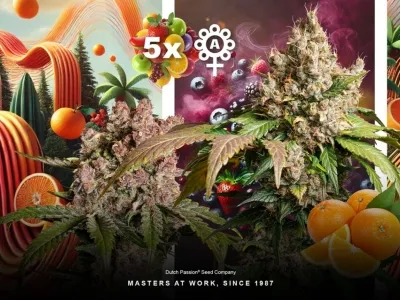 Dutch Passion’s top 5 fruitigste autoflower zaadsoorten!