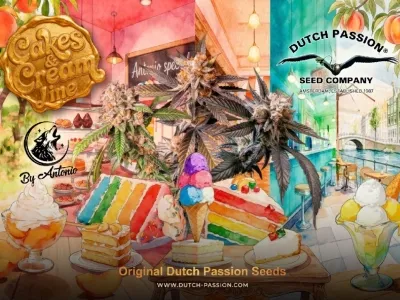 Cakes & Cream : les nouvelles graines régulières en édition limitée d'Antonio