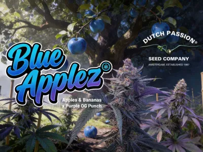 Blue Applez : la nouvelle référence pour les passionnés d'arômes fruités