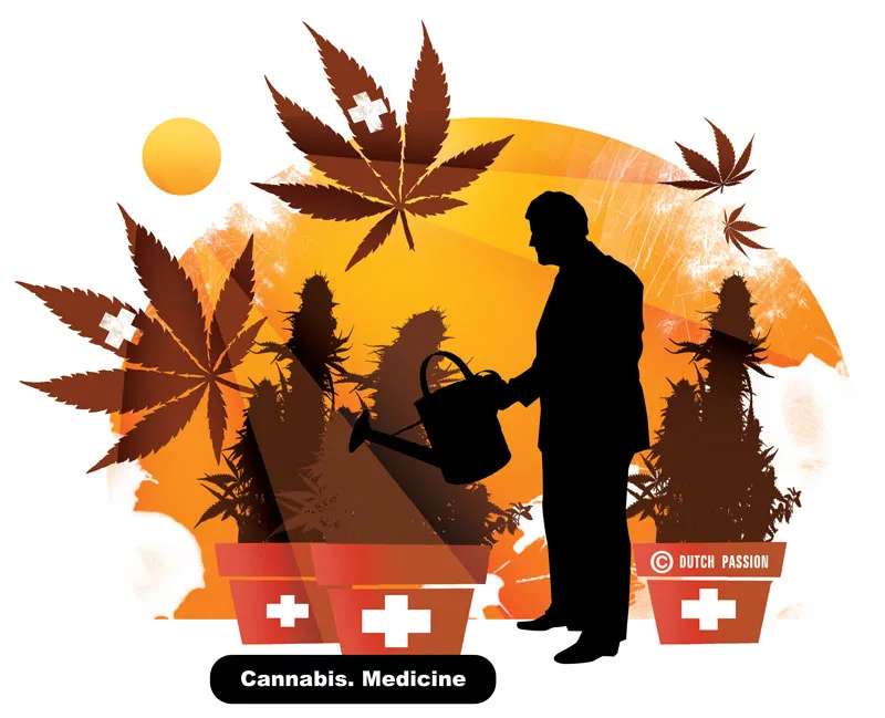 Interview With Medical Marijuana Pioneer Danzig