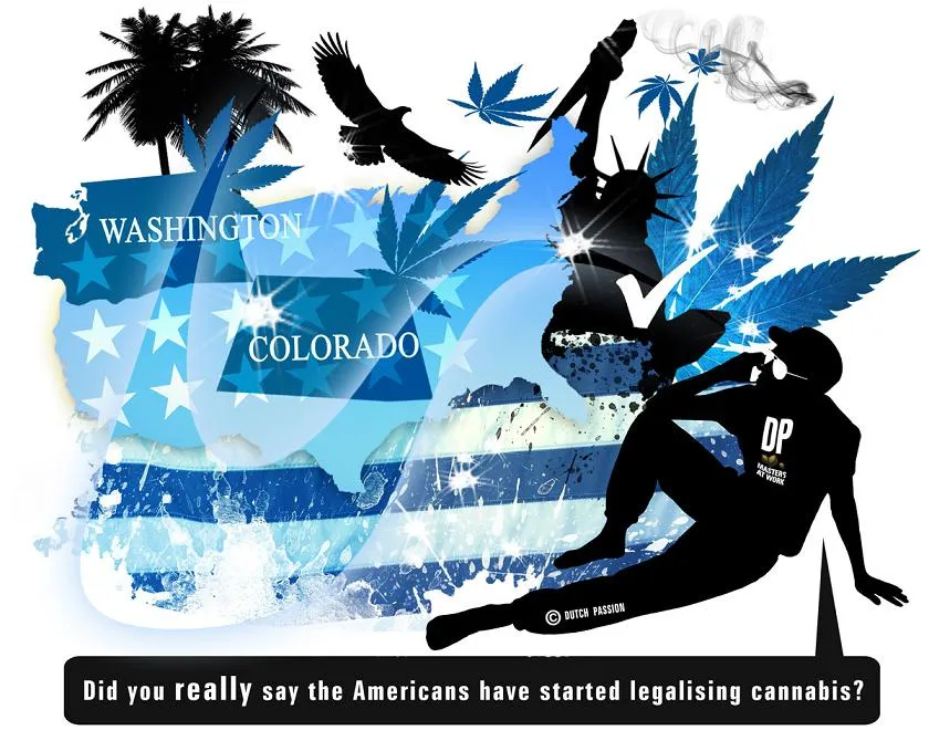USA starts to legalise cannabis.  The beginning of the end for prohibition?