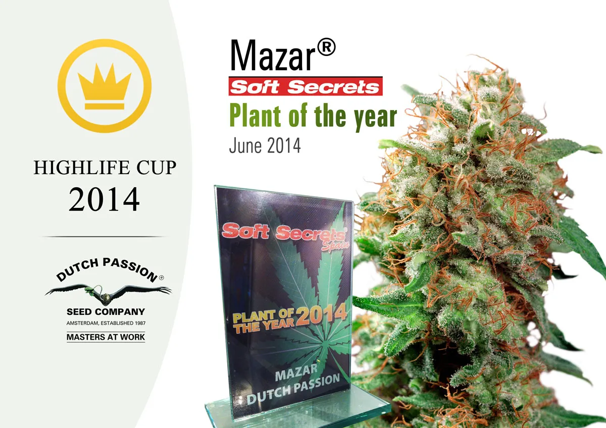 Holland.  Triple Highlife Cup Success For Dutch Passion