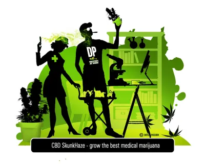 Dutch Passion CBD SkunkHaze MS Medical Cannabis Review