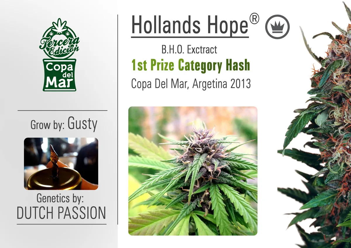 Holland.  Dutch Passion star in Dutch TV show called Hollands Hope
