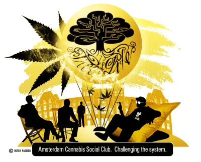 Amsterdams First Cannabis Social Club
