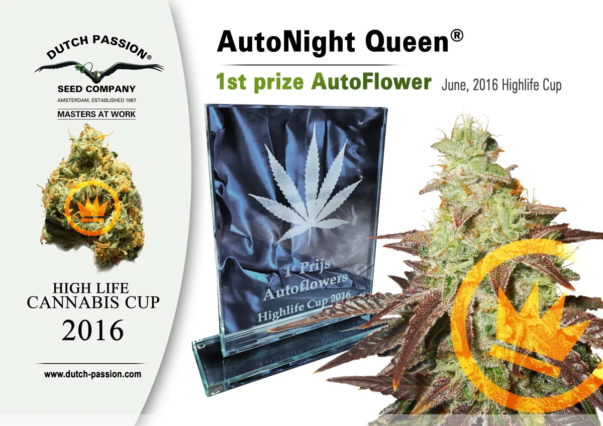 AutoNight Queen wins First Prize at 2016 Highlife Cup