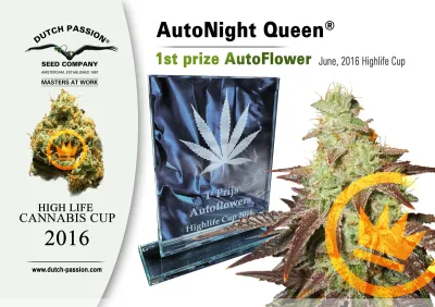 AutoNight Queen wins First Prize at 2016 Highlife Cup
