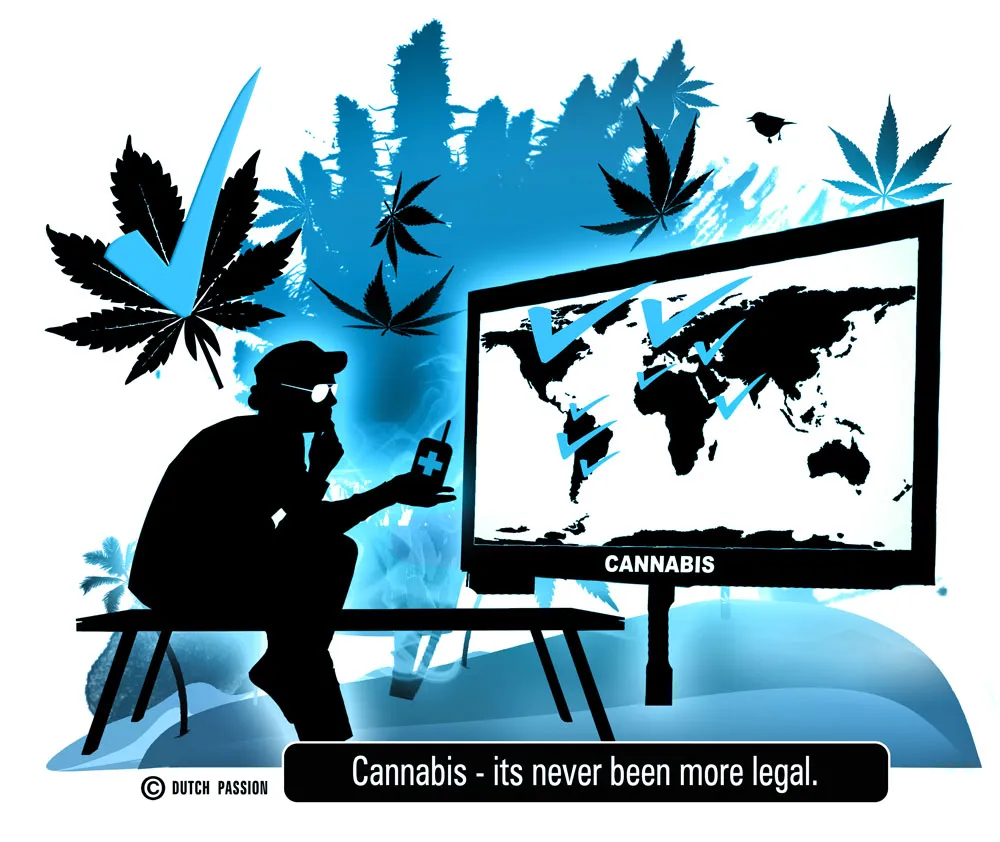 Cannabis legalization.  North America v Portugal v Holland