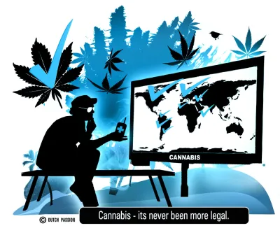 Cannabis legalization.  North America v Portugal v Holland