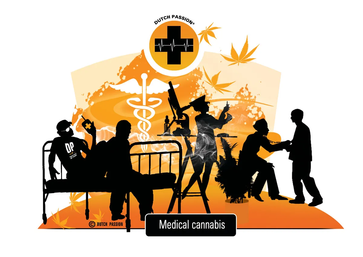 Cannabis medicinal.  ¿Qué es la marihuana medicinal?