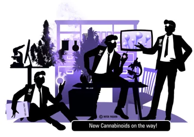 The new wave of cannabinoids. THC-V, CBD-V and CBG rich cannabis varieties are coming, a Dutch Passion research update.