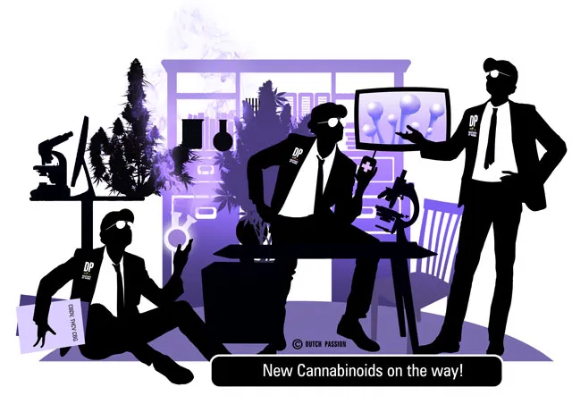 The new wave of cannabinoids. THC-V, CBD-V and CBG rich cannabis varieties are coming, a Dutch Passion research update.
