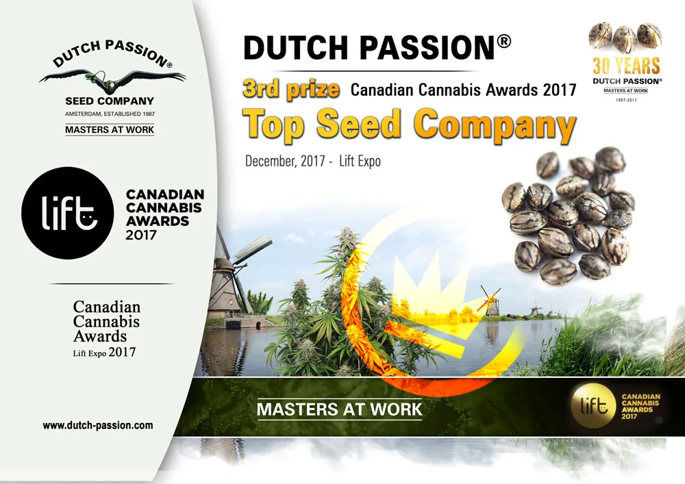 2017 Canadian Cannabis Cup. 3rd Prize for Dutch Passion in 'Best Seedbank' category