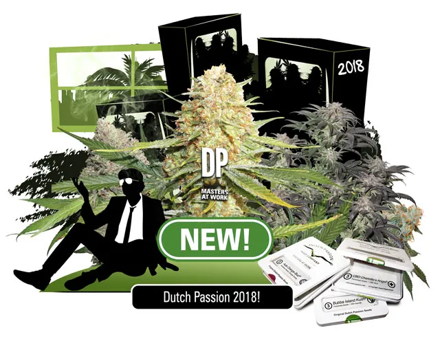 New Dutch Passion feminized seeds for 2018. CBD rich and THC rich feminized seeds.
