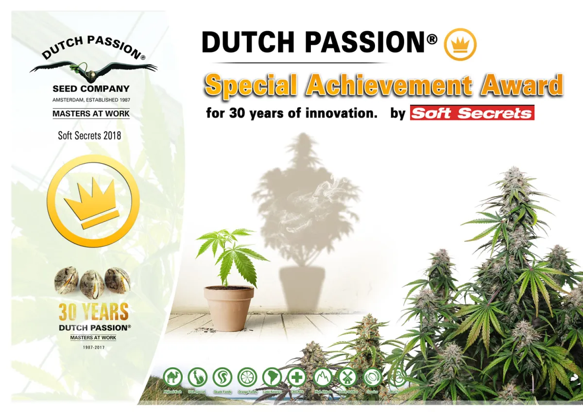 Dutch Passion feiert gleich zwei Cannabis-Cup Auszeichnungen