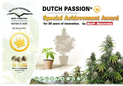 Dutch Passion feiert gleich zwei Cannabis-Cup Auszeichnungen