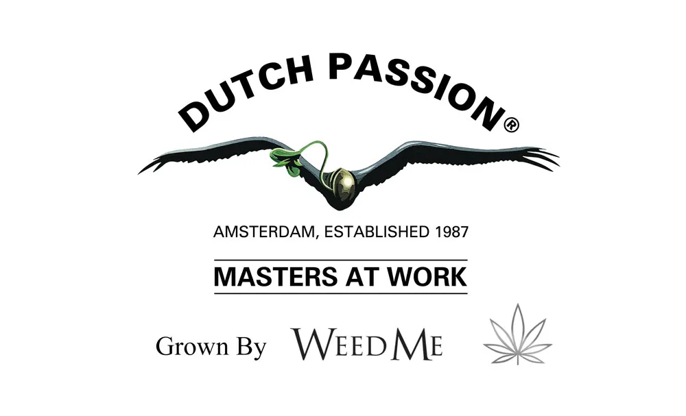 Dutch Passion announce partnership with Canadian cannabis producer Weed Me.