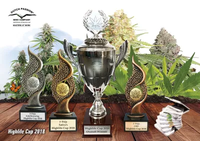 An evening with Dutch Passion at the 2018 Highlife Cup