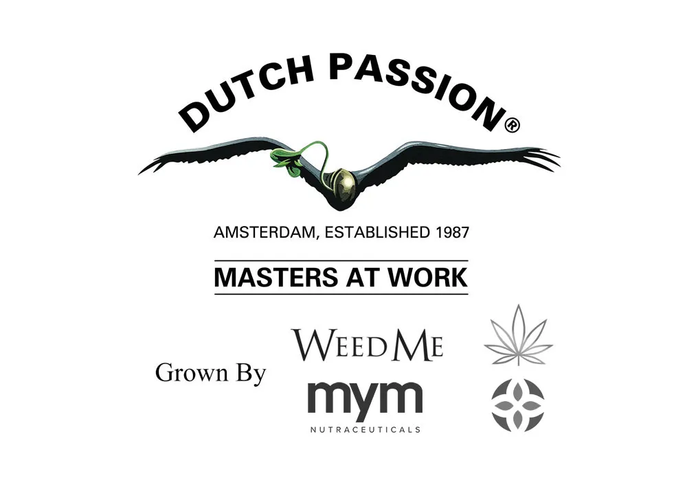 Dutch Passion announce new partnerships in Canadian, Colombian and Australian medical cannabis markets