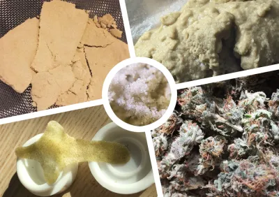 Come produrre Hashish con acqua e ghiaccio