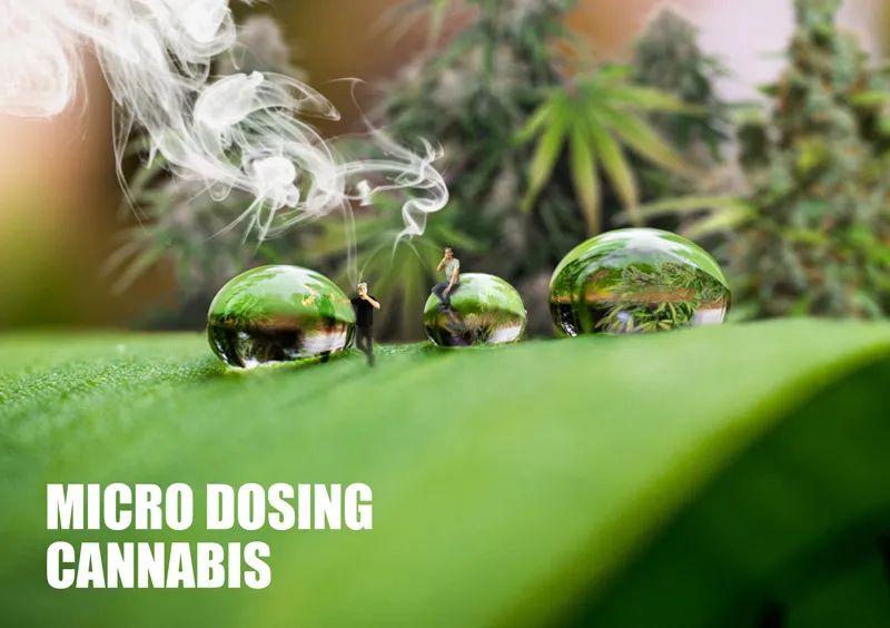 Micro dosing cannabis. What is it and how does it work?