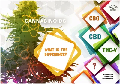 Mi a különbség a CBD, a CBG és a THCV között?