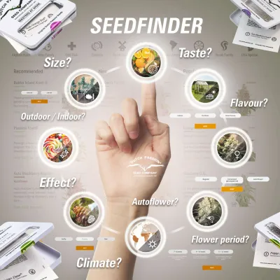 Dutch Passion Seedfinder